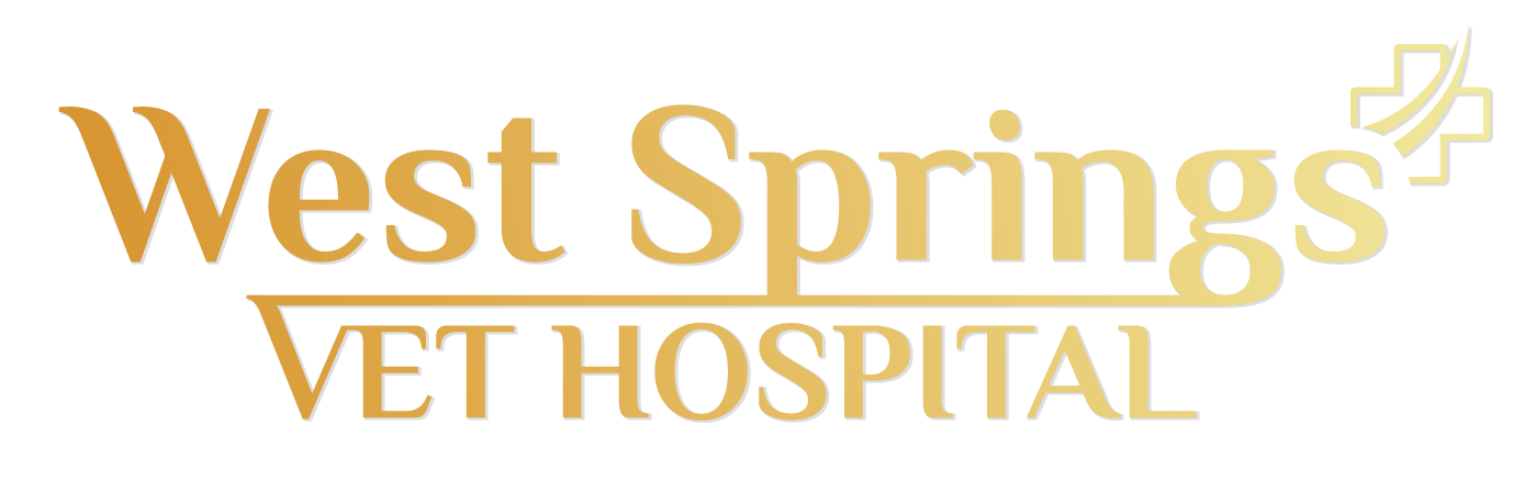 West Springs Vet Clinic