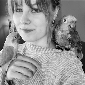 kristina west springs vet