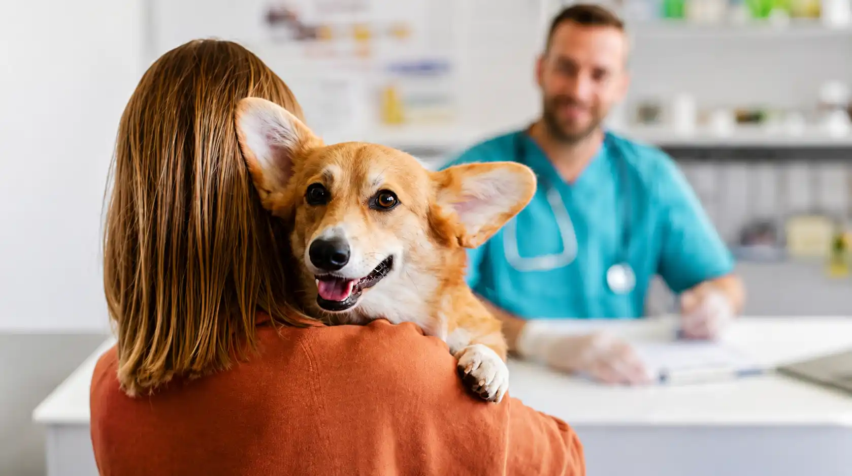 How Much Does a First Vet Visit Cost?