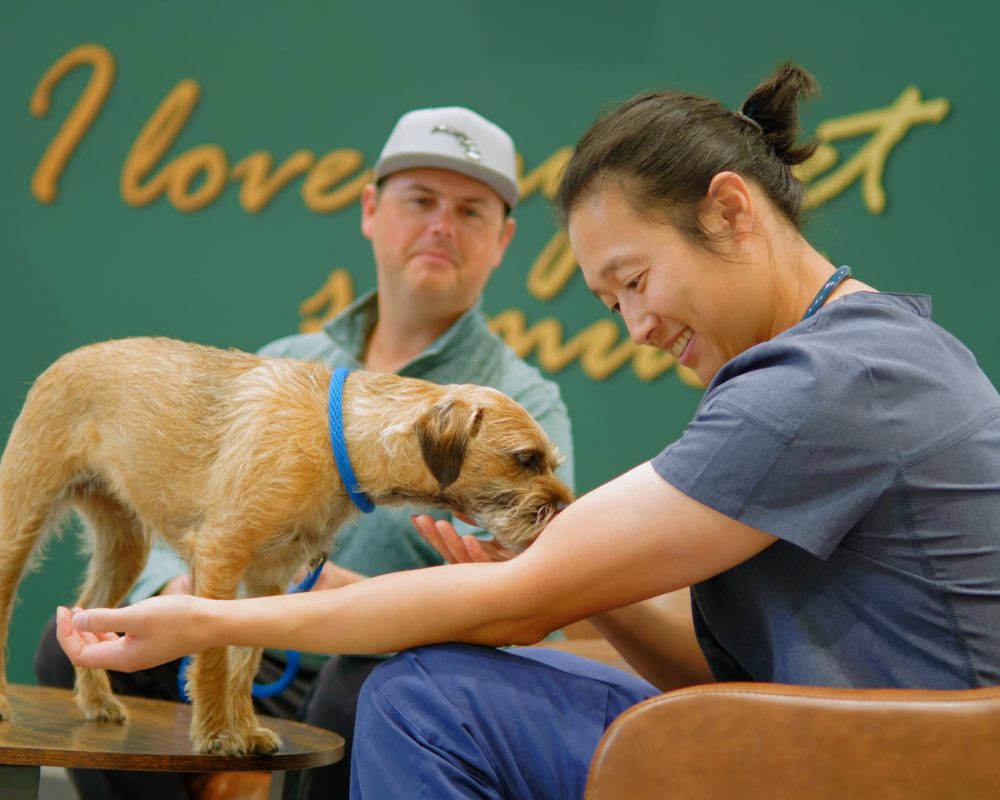 Senior Pet Care in SW Calgary