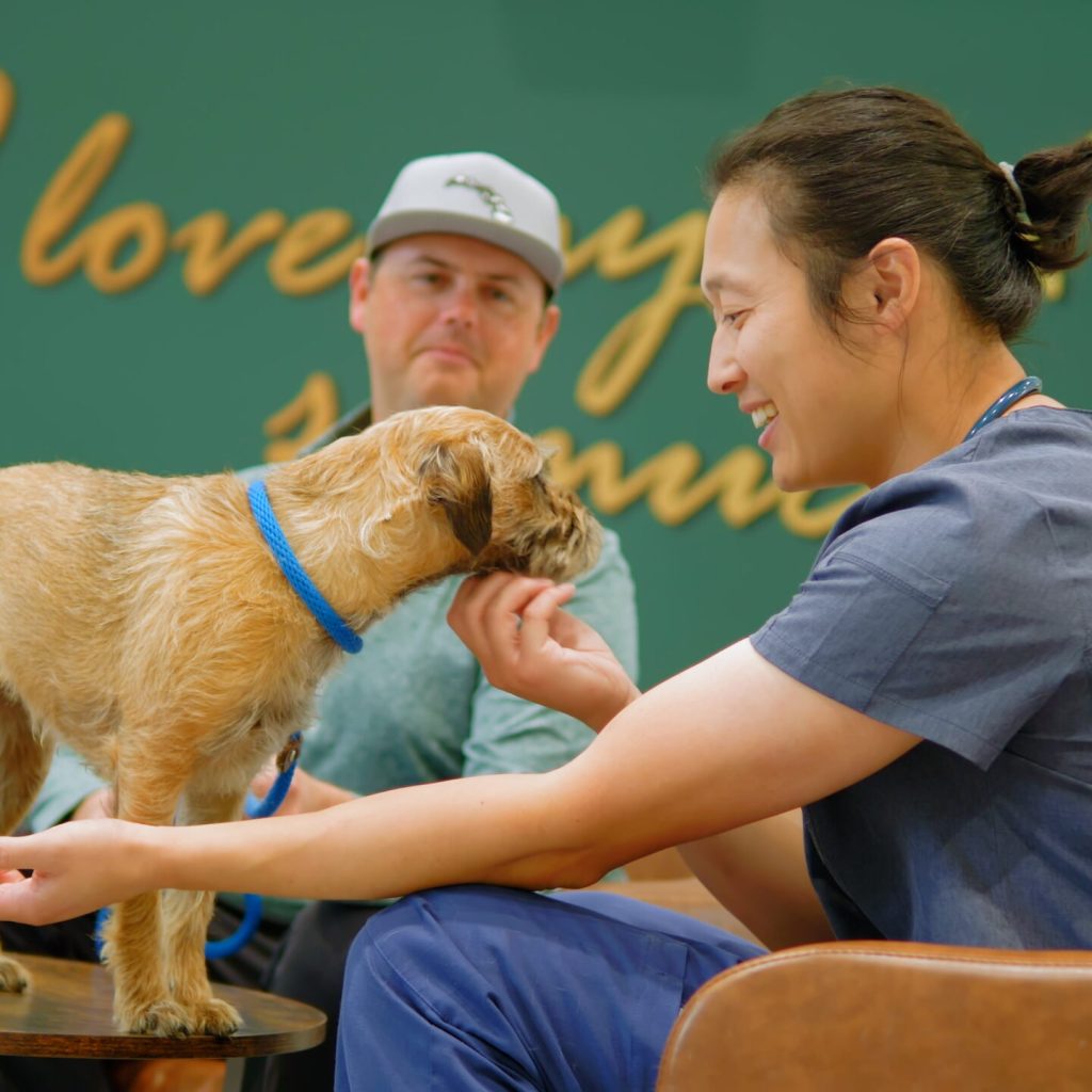 Pet Wellness Care, Immunizations and Vaccines in Aspen Woods, West Springs, Coach Hill, Signal Hill, Glendale, Strathcona Park, Sienna Hills. West Springs Vet Hospital, Veterinarian in SW Calgary