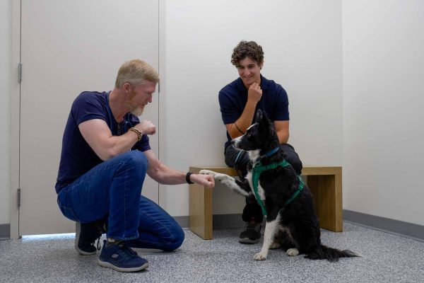 Emergency & Same-Day Appointments West Springs Veterinary Hospital, Vet Clinic in West Springs