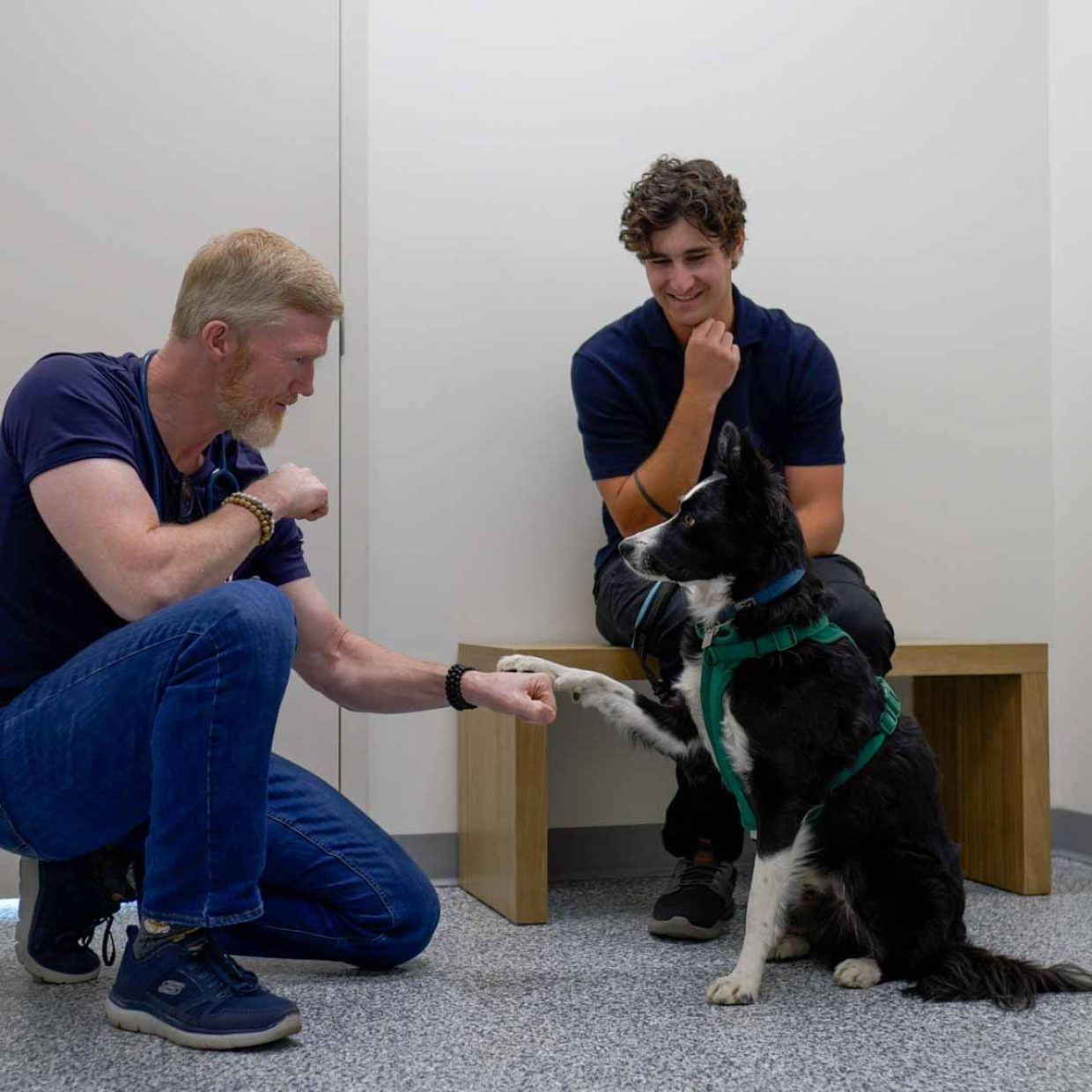 Emergency & Same-Day Appointments West Springs Veterinary Hospital, Vet Clinic in West Springs