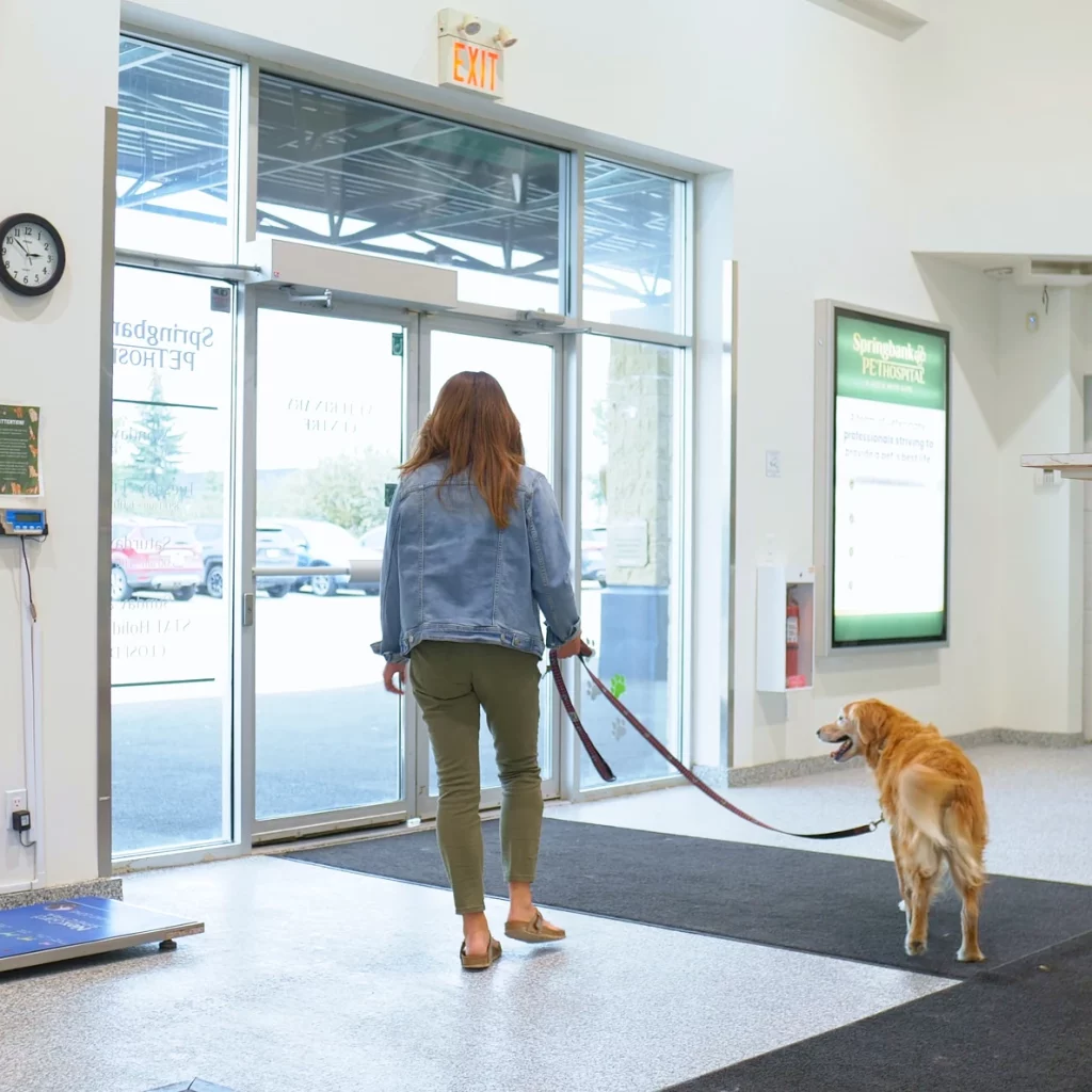 Westsprings Vet Clinic - 0925_023