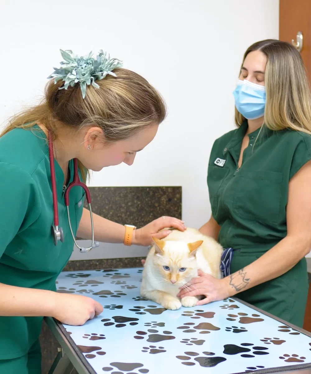 Westsprings Vet Clinic - 0925_026