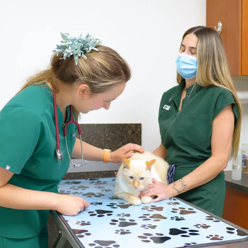 Westsprings Vet Clinic - 0925_026