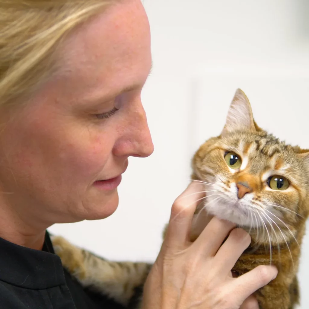 Westsprings Vet Clinic - 0925_073